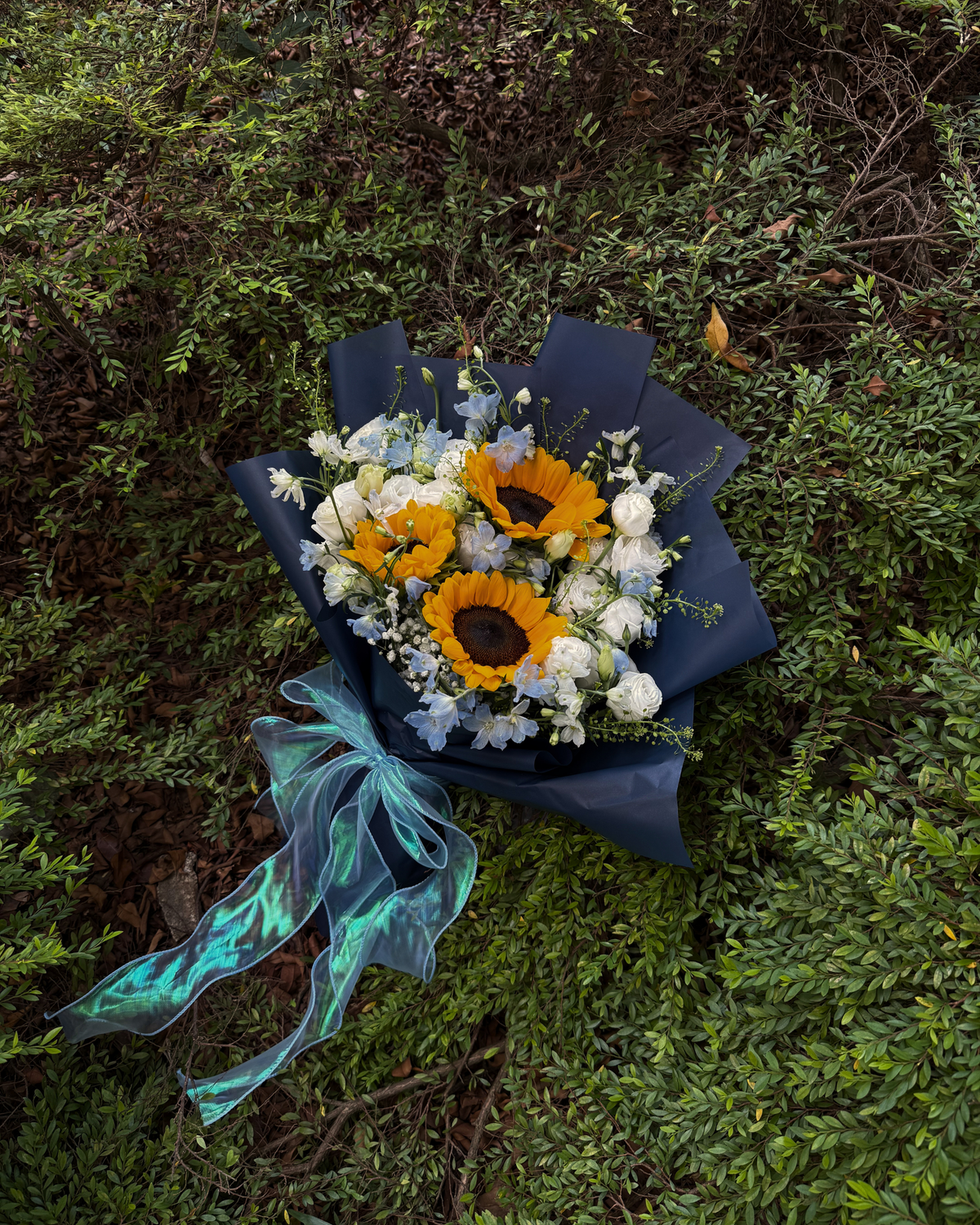 Undine