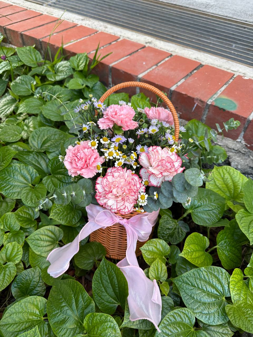 Signature Carnation Basket